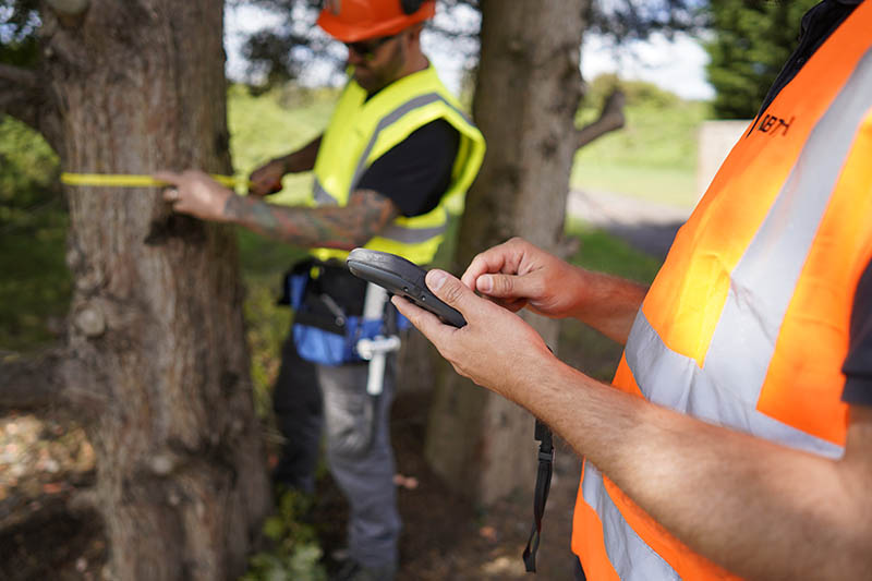 Tree Surveys: Attentive, Fast, and Reliable Arboriculturists - Tree Survey