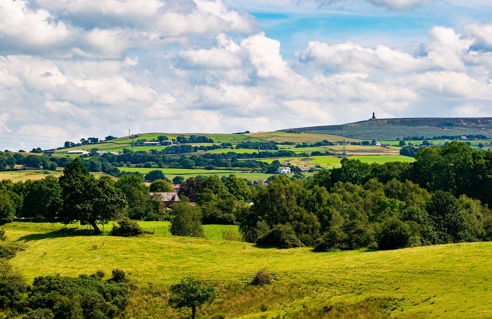 Trees in Lancashire