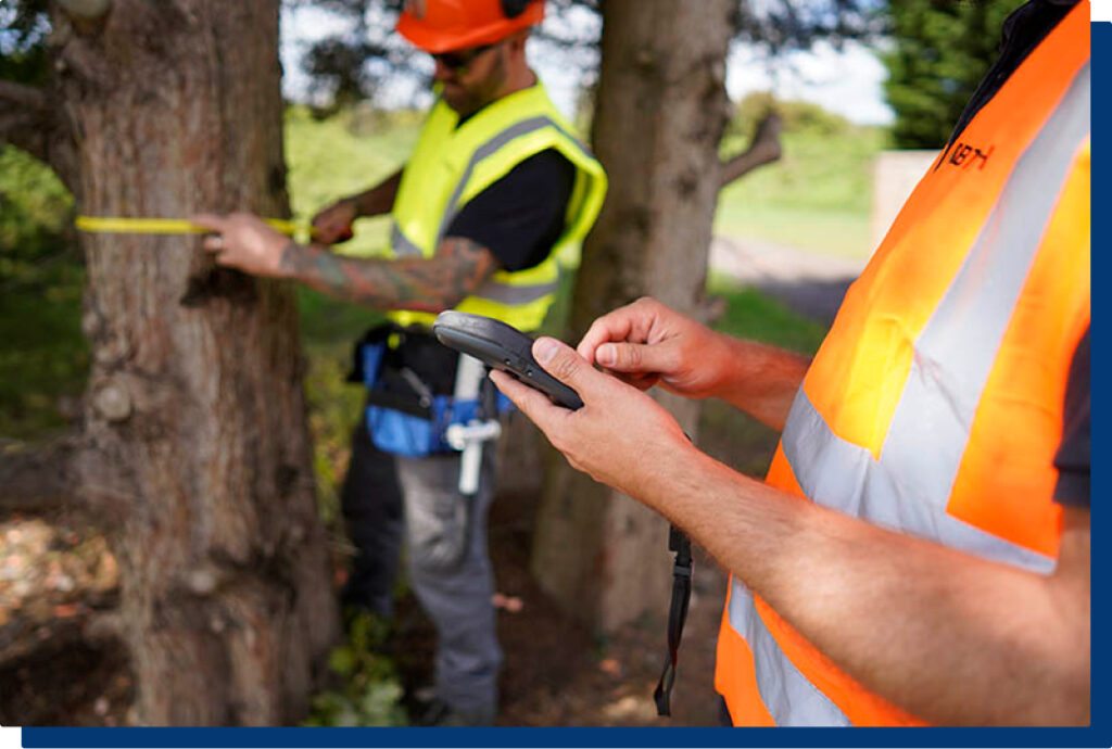 Tree Surveys: Attentive, Fast, and Reliable Arboriculturists - Tree Survey